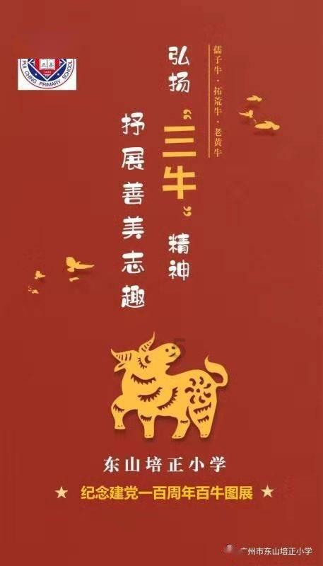 拯救受伤的猫